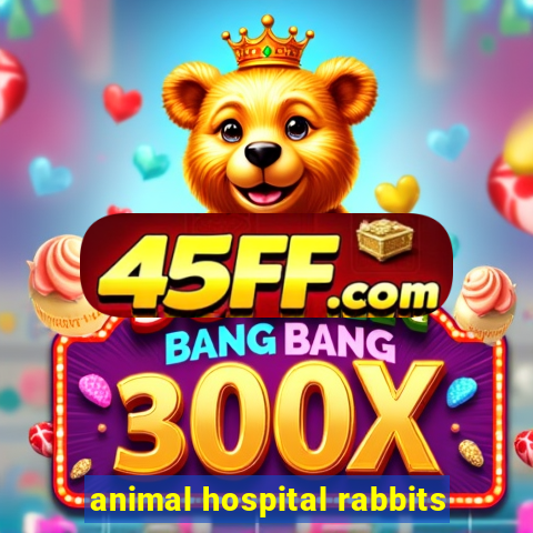 animal hospital rabbits